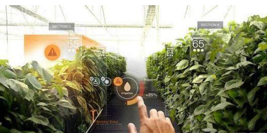 VR還能這么玩!農(nóng)業(yè)+VR,玩轉(zhuǎn)農(nóng)業(yè)新技術(shù)