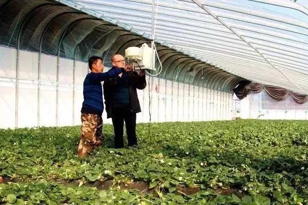 對不起,我跟著華為,辭職種地了!