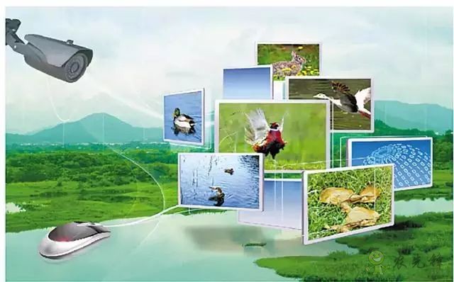 為農業插上翅膀,物聯網引領下一個農業時代!