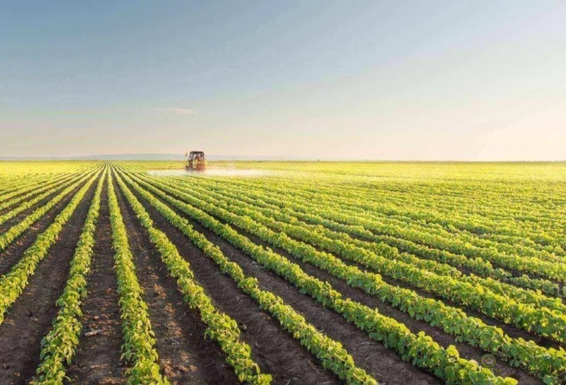 解決農產品渠道之困,才是智慧農業落地法則