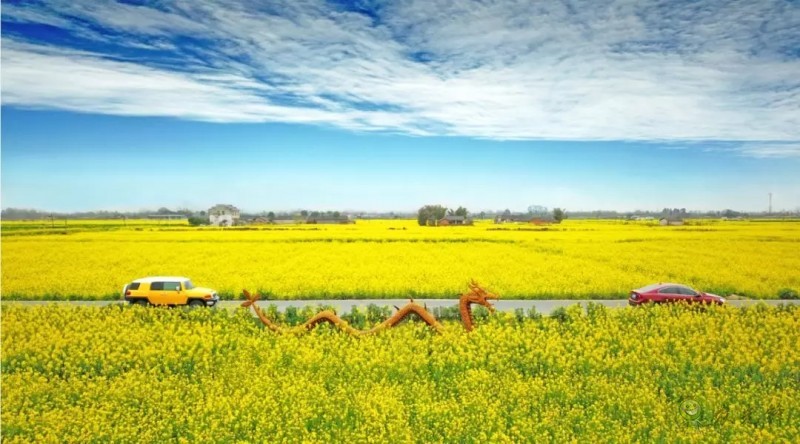 智慧農(nóng)業(yè)前景好，可為啥農(nóng)民用得少？