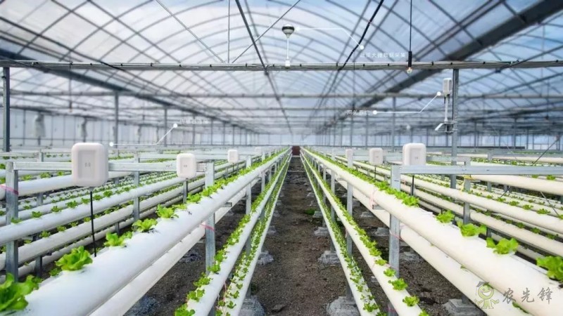 智慧農(nóng)業(yè)前景好，可為啥農(nóng)民用得少？