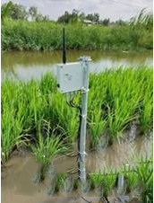 村田助力智慧農(nóng)業(yè)發(fā)展 搶占智慧農(nóng)業(yè)先機(jī)