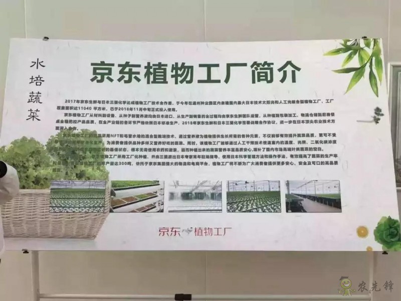 京東的這些“網(wǎng)紅”農(nóng)業(yè)項目,你都知道嗎?