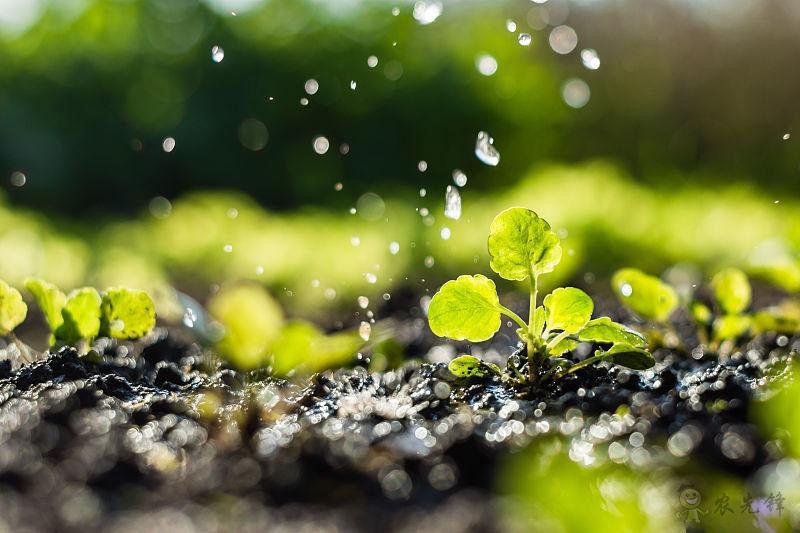 智慧農業發展現狀:顛覆傳統不容易