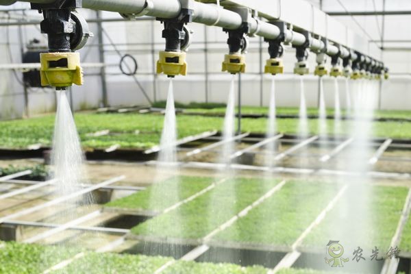 智慧農業(yè)的發(fā)展，農民能否被淘汰