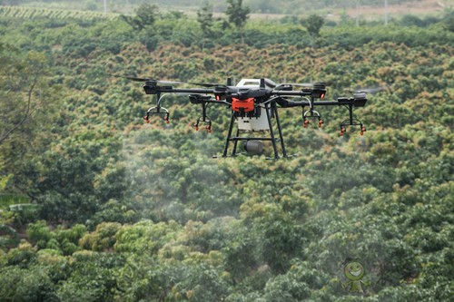 果園機(jī)械也過(guò)平安夜?