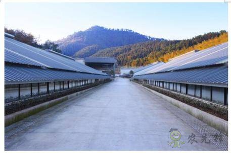 網易味央(三門)現代農業示范園正式開工!