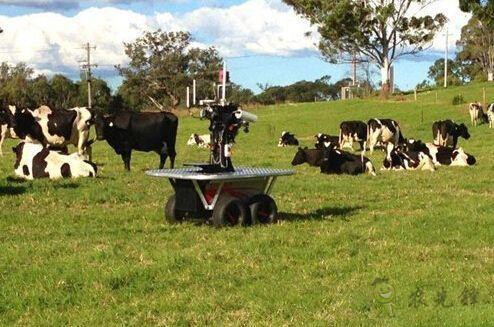 現場機器人，&ldquo;上的了天 下的了地&rdquo;