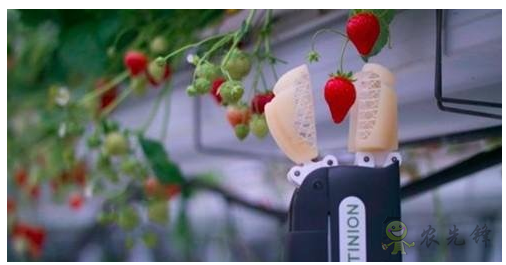 農(nóng)業(yè)機(jī)器人崛起會(huì)對(duì)農(nóng)民帶來負(fù)面影響嗎