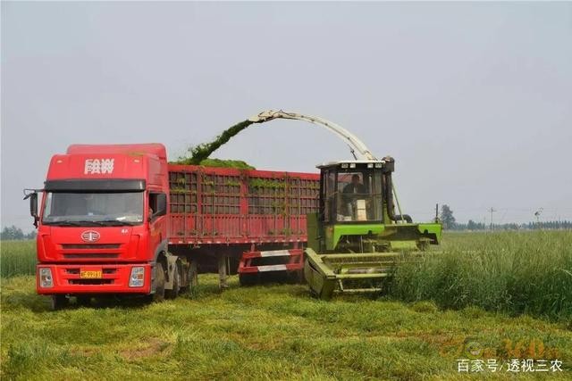 霸氣，江蘇省第一個把農業(yè)機器人納入補貼