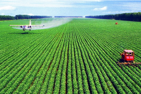 農(nóng)業(yè)物聯(lián)網(wǎng)在藍(lán)莓種植的領(lǐng)域的第一步