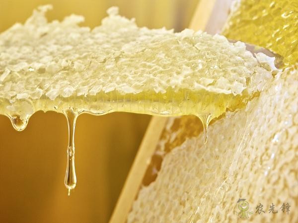 蜜蜂與現(xiàn)代農(nóng)業(yè)：從&ldquo;取一半，留一半&rdquo;到&ldquo;送蜜蜂上戰(zhàn)場(chǎng)&rdquo;