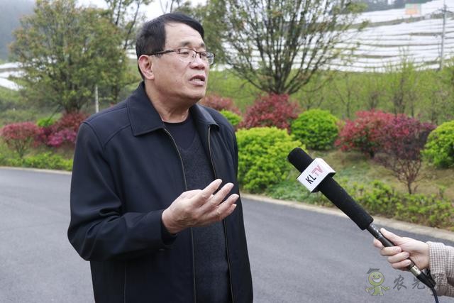 凱里:傳統農業插上現代“翅膀”