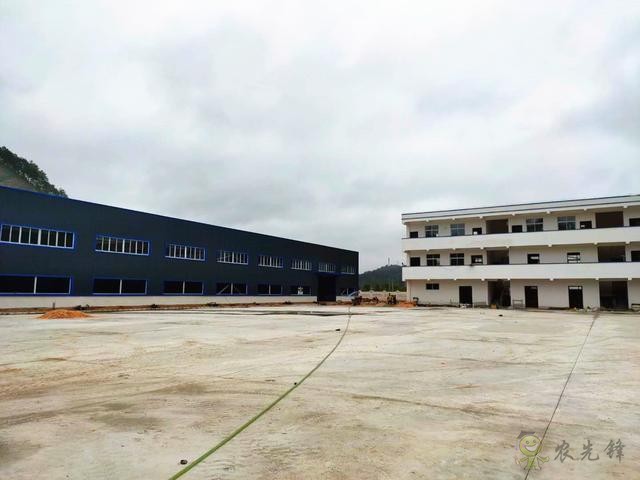 凱里:傳統農業插上現代“翅膀”