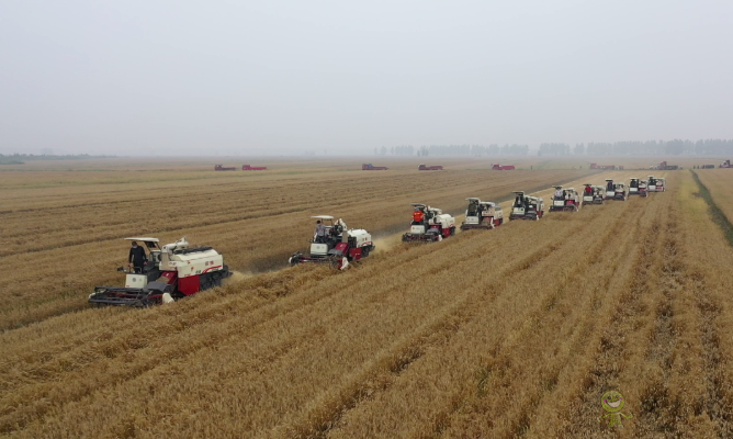 農業農村部積極協調支持湖北&ldquo;三夏&rdquo;農機作業