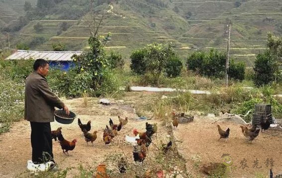 陳錫文:發(fā)展現(xiàn)代農(nóng)業(yè),意味著要消滅小農(nóng)戶(hù)嗎?