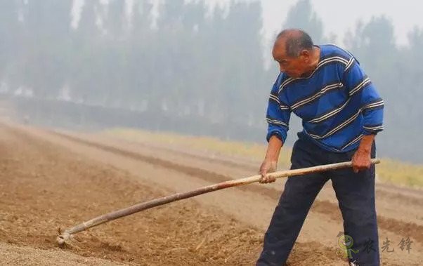 陳錫文:發(fā)展現(xiàn)代農(nóng)業(yè),意味著要消滅小農(nóng)戶(hù)嗎?