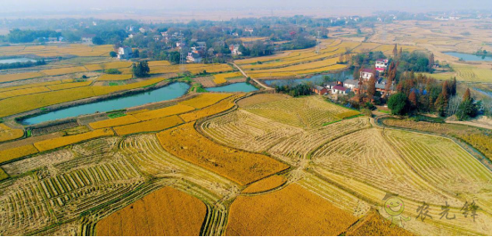 陳錫文:發(fā)展現(xiàn)代農(nóng)業(yè),意味著要消滅小農(nóng)戶(hù)嗎?