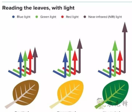 農(nóng)業(yè)領(lǐng)域中無人機的潛在應(yīng)用有哪些