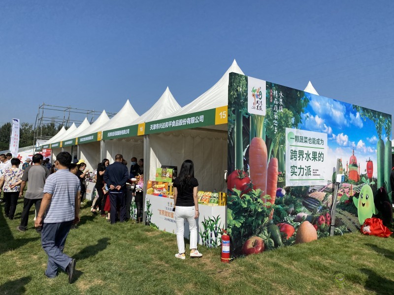 天津武清:都市型現(xiàn)代農(nóng)業(yè)展現(xiàn)豐收新圖景