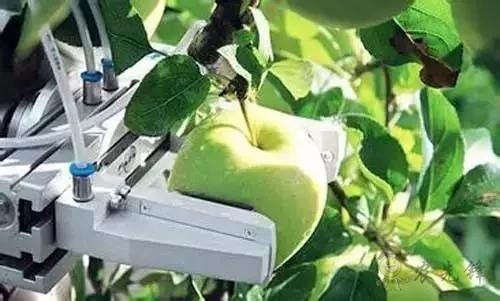 Tractica預計,到2025年,農業機器人的全球市場價值將達到879億美元。