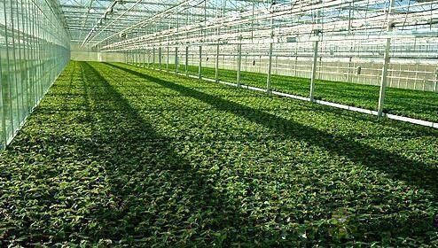 什么是以物聯網為架構的智慧農業系統?