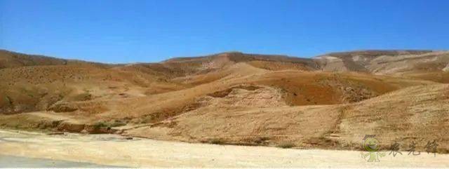 以色列農業(yè)