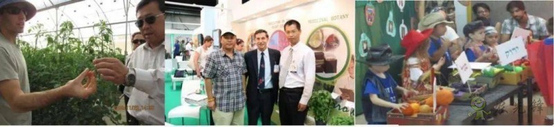 以色列農業(yè)