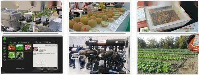 以色列農業(yè)