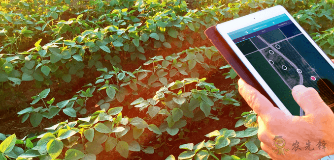 以色列農業(yè)