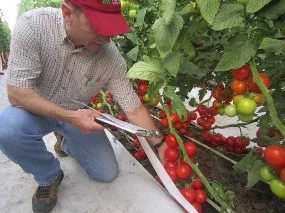 以色列農業(yè)