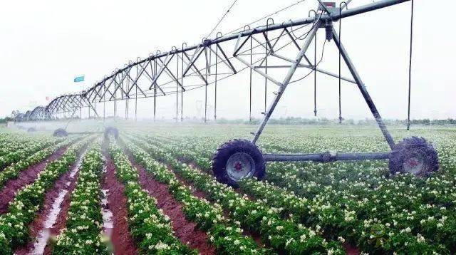 以色列農業(yè)