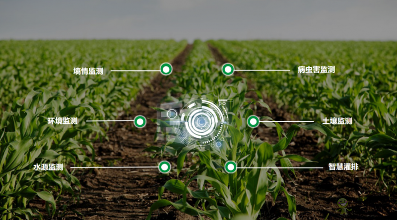 現(xiàn)代農業(yè)