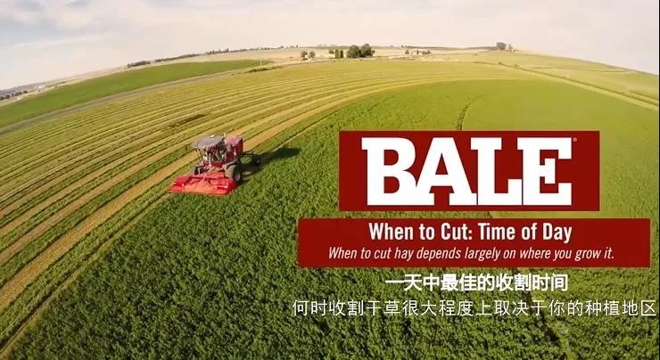 一天中較佳的割草時(shí)間是什么時(shí)候?