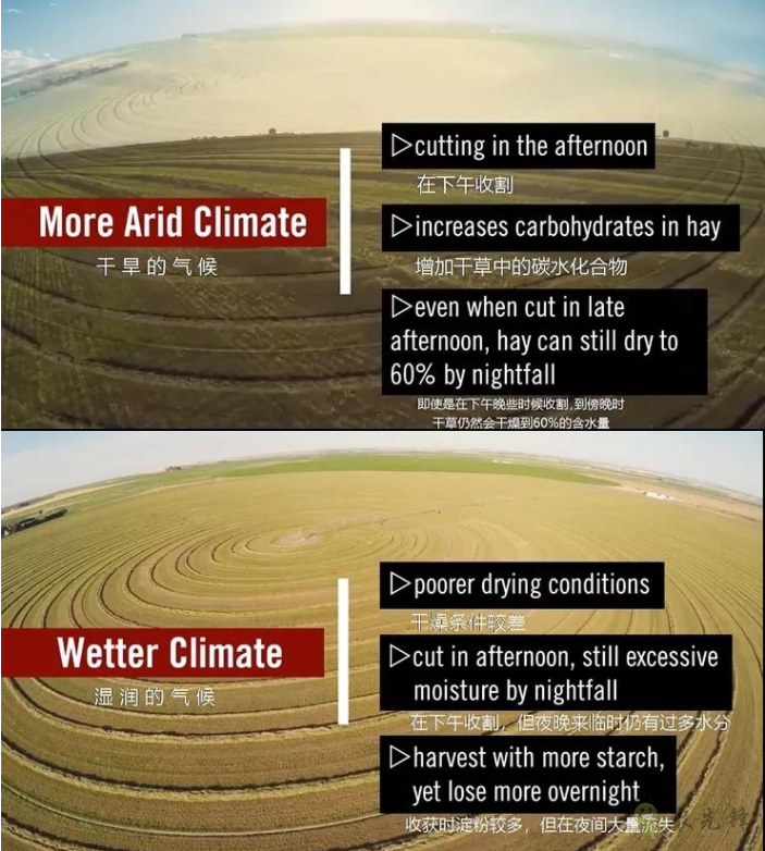 一天中較佳的割草時(shí)間是什么時(shí)候?