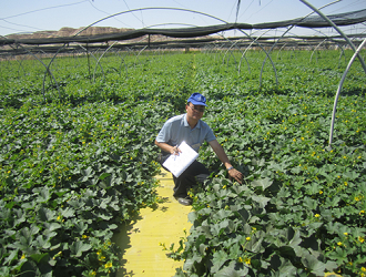 世界農(nóng)業(yè)焦點(diǎn)國(guó)家的農(nóng)業(yè)模式