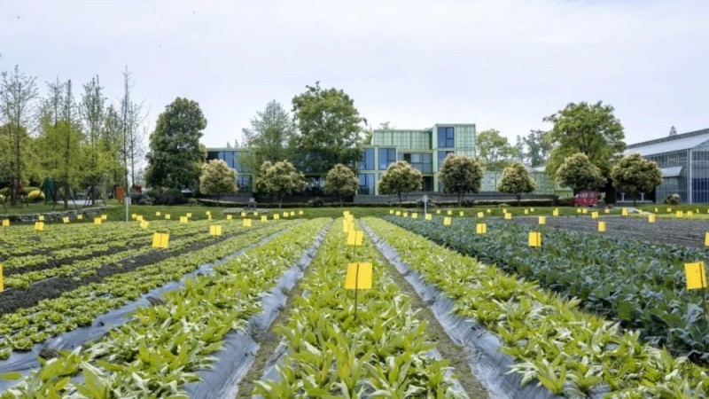 美國科學院研究報告:農業領域亟待突破的五大研究方向