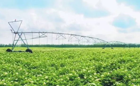 科技部出臺9大措施加強現代農業(yè)科技金融服務