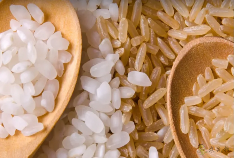 【深度透視】美國糧食巨頭是怎樣一步一步控制壟斷中國糧食的?