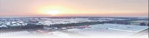 ?鄉(xiāng)村振興,壽光答卷