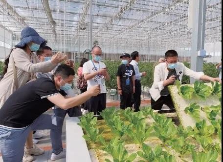 ?鄉(xiāng)村振興,壽光答卷