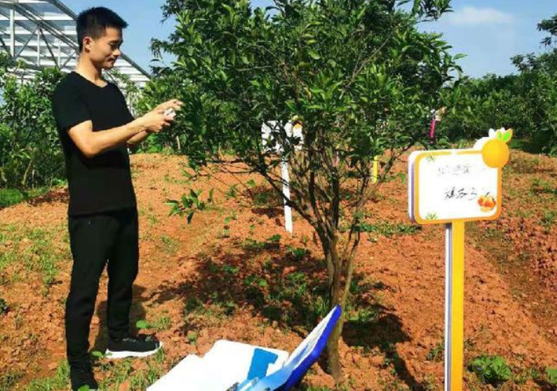 四川青神：打造智慧氣象數字果園 助力農業(yè)產業(yè)現代化