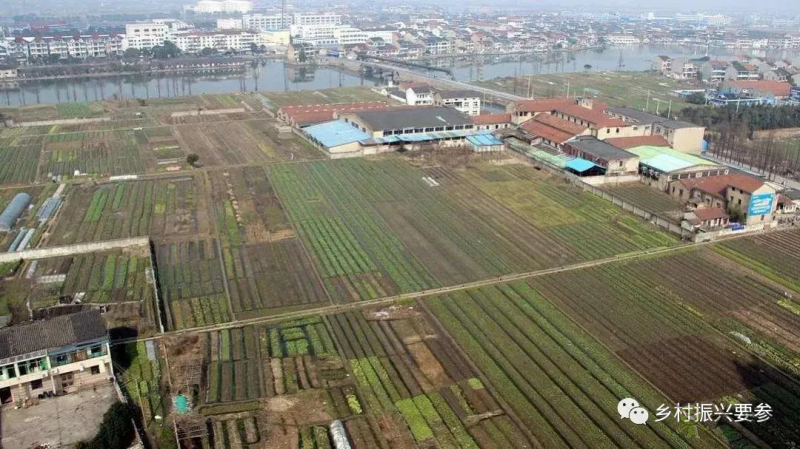 賀雪峰：未來十五年鄉(xiāng)村振興的時(shí)空維度、社會(huì)條件及預(yù)測(cè)