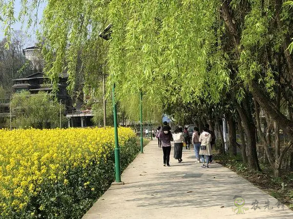 貴州:全力開創休閑農業和鄉村旅游發展新局面