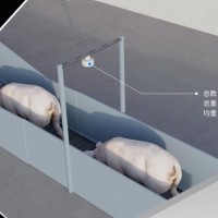 大天眼 智能售豬，輕松又省心