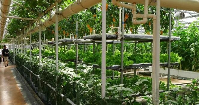 QQ截圖20210823101000