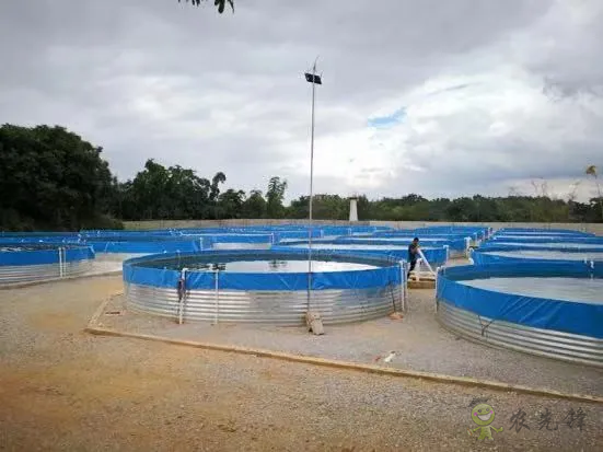 2021年農業農村部重大引領性技術發布！