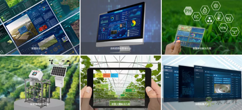 中國(guó)數(shù)字經(jīng)濟(jì)規(guī)模全球第二,“農(nóng)業(yè)數(shù)字革命”正在到來(lái)