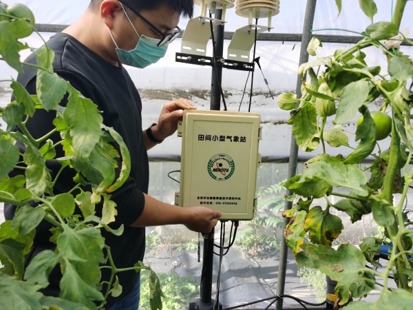 塑料大棚&ldquo;智能化&rdquo;，北京開展高效設施農業用地試點